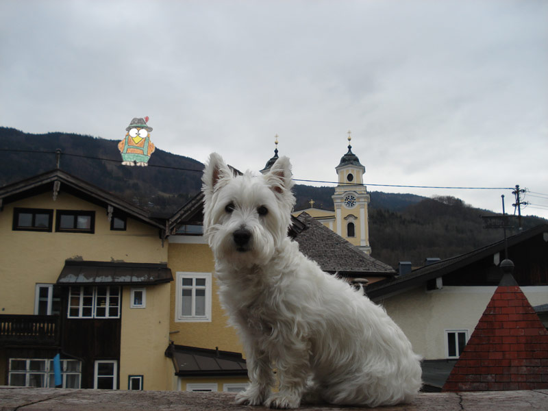 sir charlie butt niki owl austria lederhoots