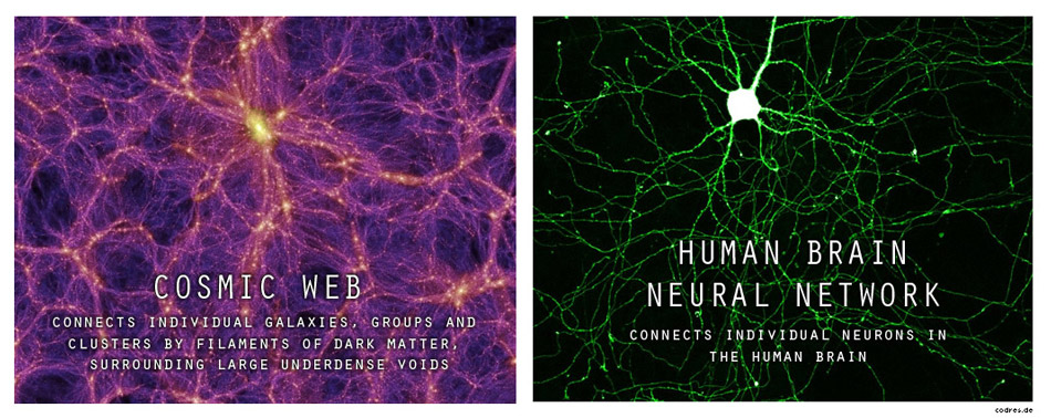 cosmic web neural network