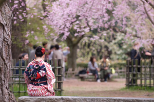 life coaching in kyoto