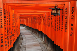 vibrational coaching in kyoto